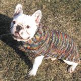 Handmade Dog Sweater Wool Multi-Colored Shawl XSmall