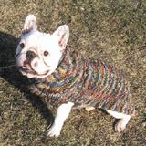 Handmade Dog Sweater Wool Multi-Colored Shawl XXXLarge      