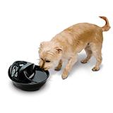 Rain Drop Ceramic Pet Water Fountain