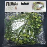 Fluval Chi Vine Aquarium Plant
