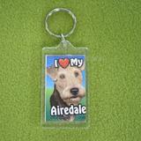 Plastic Keyring Airedale