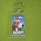 Plastic Keyring Beagle