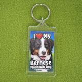 Plastic Keyring Bernese Mountain Dog
