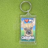 Plastic Keyring Chihuahua Tan