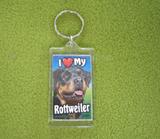 Plastic Keyring Rottweiler