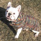 Handmade Dog Sweater Wool Multi-Colored Shawl  Small