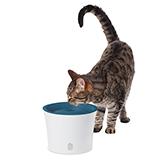CatIt Fresh and Clear Cat and Small Dog Drinking Fountain