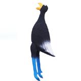 Squawkie Talkie Terry the Terrified Toucan Latex Dog Toy