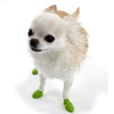 Pawz Natural Rubber Dog Boot Tiny 12pk