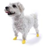 Pawz Natural Rubber Dog Boot XXsmall 12pk