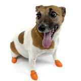 Pawz Natural Rubber Dog Boot Extra Small 12pk