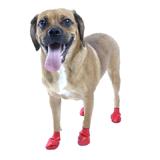Pawz Natural Rubber Dog Boot Small 12pk