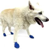 Pawz Natural Rubber Dog Boot Medium 12pk