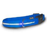 Visiglo Blue LED Illuminated Small Dog Collar 10 to 14 inch