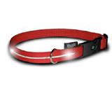 Visiglo Red LED Illuminated Small Dog Collar 10 to 14 inch