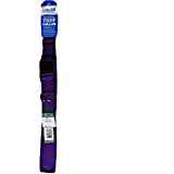 Nylon Dog Collar Adjustable 1-inch Purple