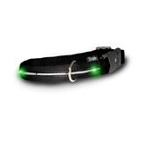 Visiglo Black LED Illuminated Small Dog Collar 10 to 14 inch