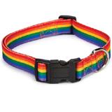Rainbow Pride Adjustable Dog Collar 10 to 16-inch