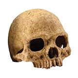Exo Terra Primate Skull Terrarium Ornament