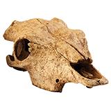 Exo Terra Buffalo Skull Terrarium Ornament