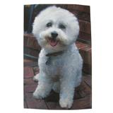 Robert McClintock Licensed Garden Flag Bichon Frise 