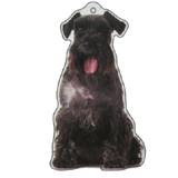 Air Freshener 3 Pack Schnauzer