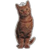 Air Freshener 3 Pack Cat