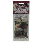 Candle For the Car Mulberry Spice Pet Odor Eliminator