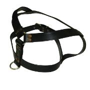 The Harness Heavy Duty Leather Dog Harness 1.25 x 38-inch