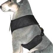 Comfort Control Dog Harness Black XXLarge