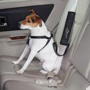 Ride Right Seat Belt Connector Dog Car Restraint