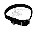 Nylon Dog Collar 5/8 inch Black 16-inch