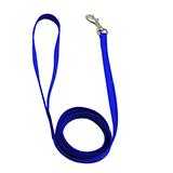 Nylon Dog Leash 3/8-inch x  6 foot Blue