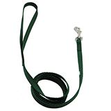 Nylon Dog Leash 3/8-inch x  6 foot Green