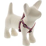Lupine Step-In Dog Harness El Paso 10-13-inches