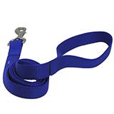 Nylon Dog Leash 1-inch x 6 foot Blue