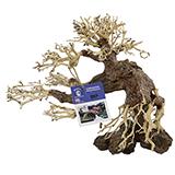 Corcovado Wood 12-inch