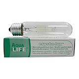 Incandescent 15 watt