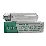 Incandescent 25 watt