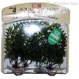 Family Pack Cabomba Plastic Aquarium Plant
