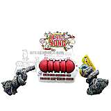 Kong Dental Kong Medium Dog Toy