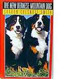 Bernese Mountain Dog
