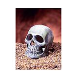 Skull Aquarium Ornament