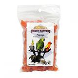 Sweet Harvest Papaya 6 ounce for Birds and Small Animals