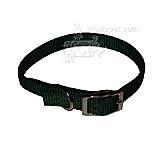 Nylon Dog Collar 5/8 inch Green 12-inch