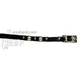 Spiked Dog Collar Black 8 x 3/8 inch