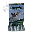 Bayer Advantage Dog 1-10 pound 4-pack Flea Control