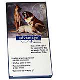 Bayer Advantage Dog Over 55 pound 4-pack Flea Control