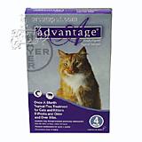 Bayer Advantage Cat 10-18 pound 4-pack Flea Control