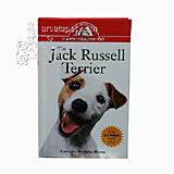 Jack Russell Terrier Guide